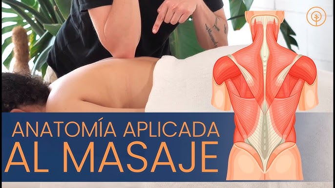 objetivos y técnicas a seguir de anatomía aplicada al masaje 